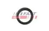 FT48953 Ущільнювальне кільце, шланг подачі наддувального повітря FAST підбір по vin на Brocar