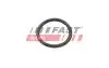 FT49934 Автозапчастина FAST підбір по vin на Brocar