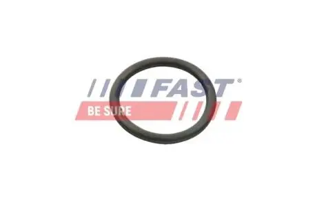 FT49934 Автозапчастина FAST підбір по vin на Brocar