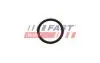 FT49926 Автозапчастина FAST підбір по vin на Brocar