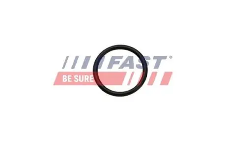 FT49926 Автозапчастина FAST підбір по vin на Brocar