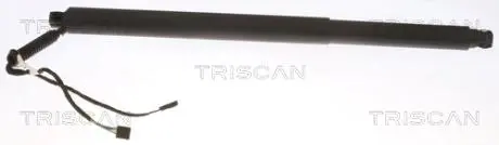 871029312 Автозапчастина TRISCAN подбор по vin на Brocar