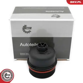 31SKV265 Автозапчастина SKV GERMANY подбор по vin на Brocar