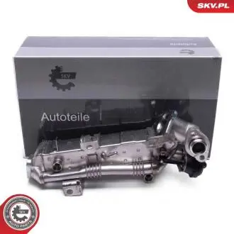 14SKV239 Клапан системи рециркуляції ВГ SKV GERMANY подбор по vin на Brocar