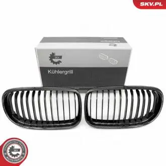 66SKV098 Автозапчастина SKV GERMANY підбір по vin на Brocar