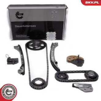 21SKV250 Комплект ланцюгів привода SKV GERMANY подбор по vin на Brocar