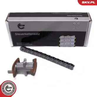 21SKV269 Комплект ланцюгів привода SKV GERMANY підбір по vin на Brocar