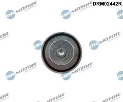 DRM02442R Автозапчастина DR.MOTOR підбір по vin на Brocar