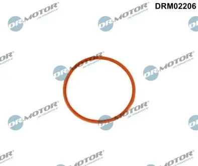 DRM02206 Автозапчастина DR.MOTOR підбір по vin на Brocar