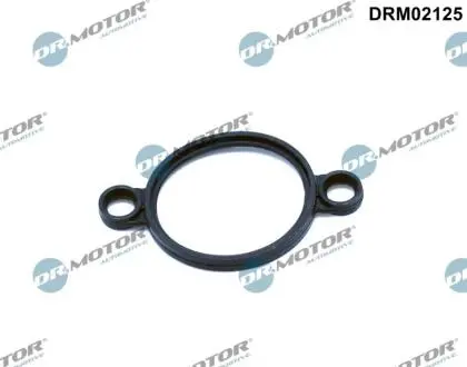 DRM02125 Ущільнення, приводний елемент (ексцентриковий вал) DR.MOTOR підбір по vin на Brocar