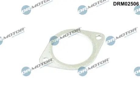 DRM02506 Автозапчастина DR.MOTOR підбір по vin на Brocar
