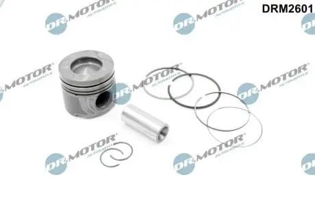 DRM2601 Автозапчастина DR.MOTOR підбір по vin на Brocar
