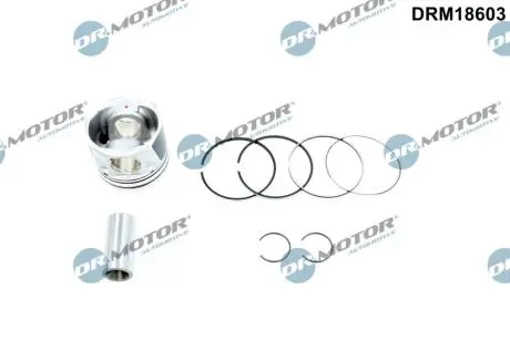 DRM18603 Автозапчастина DR.MOTOR підбір по vin на Brocar