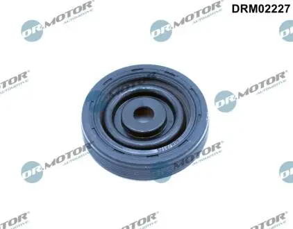 DRM02227 Ущільнювальне кільце вала, колінчатий вал DR.MOTOR подбор по vin на Brocar