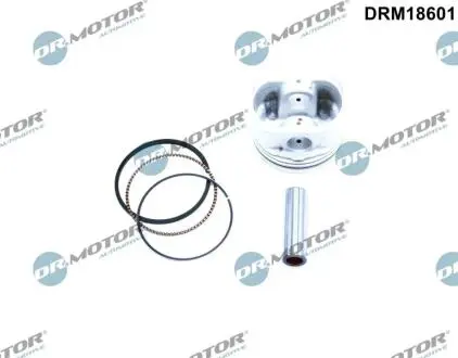 DRM18601 Автозапчастина DR.MOTOR підбір по vin на Brocar