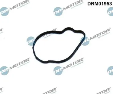 DRM01953 Автозапчастина DR.MOTOR підбір по vin на Brocar