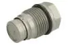 ENT260113 Елемент системи Common Rail ENGITECH підбір по vin на Brocar