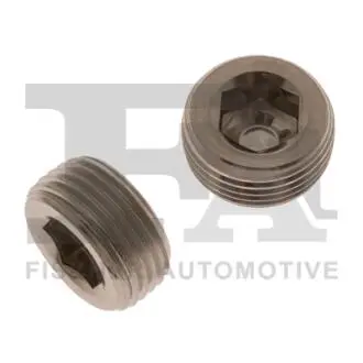 257902001 Пробка, фіксатор кисневого датчика FA1 підбір по vin на Brocar