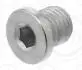 ELRING BMW Пробка оливного піддона 3 (E46) M3 00-06, Z4 Roadster (E85) M 06-08 587.190