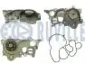 561537 RUVILLE VW Помпа воды Polo 1.0, SKODA Fabia, Seat Ibiza 1.0TSI 11- RUVILLE підбір по vin на Brocar