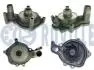 561273 RUVILLE AUDI Помпа воды A4, A6, A8, Q7 4.2TDI RUVILLE підбір по vin на Brocar