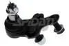 57553 Опора кульова Toyota Camry V30, Lexus RX (01-06) ліва L (SPIDAN) SPIDAN підбір по vin на Brocar
