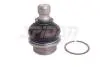 51389 Опора кульова Nissan Navara, Pathfinder (05-&gt;) нижняя (SPIDAN) SPIDAN підбір по vin на Brocar