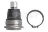 50496 Опора кульова Ford Fiesta VI 08-&gt;, Mazda 2 07-&gt; нижня (SPIDAN) SPIDAN підбір по vin на Brocar