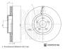 BLUE PRINT FORD Гальмівний диск передн. TOURNEO CONNECT / GRAND TOURNEO CONNECT V408, TRANSIT CONNECT 13- ADBP430166
