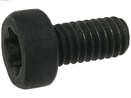 SP3022SBULK Болт з головкою системи TORX з чорного металу AUTO STARTER підбір по vin на Brocar