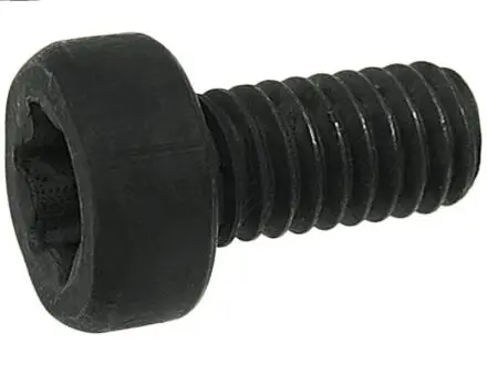 SP3022SBULK Болт з головкою системи TORX з чорного металу AUTO STARTER підбір по vin на Brocar