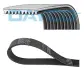 10PK2495HD Доріжковий пас DAYCO підбір по vin на Brocar