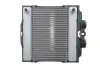 Радіатор охолодження 550288