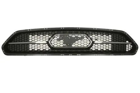 6502032589205P Решітка радіатора BLIC підбір по vin на Brocar