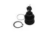 SBJ9034 KAVO PARTS TOYOTA кульова опора Yaris 1.0 05-11, 1.8 07-11 KAVO підбір по vin на Brocar
