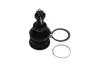SBJ9034 KAVO PARTS TOYOTA кульова опора Yaris 1.0 05-11, 1.8 07-11 KAVO підбір по vin на Brocar