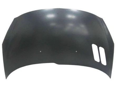 KH5507281 Капот Peugeot 206 07-25р STARLINE підбір по vin на Brocar