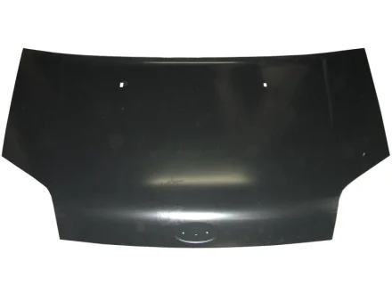 KH2507280 Капот Ford Transit Connect (P65_, P70_, P80_) 02-13р STARLINE підбір по vin на Brocar