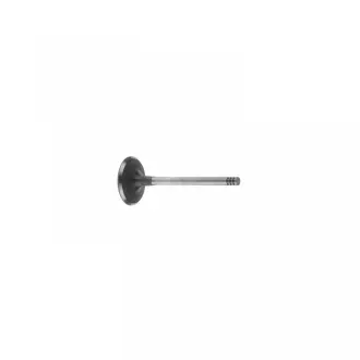 19952 Впускний клапан FEBI BILSTEIN підбір по vin на Brocar